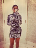 Autumn Print Zebra Mini Club Dress
