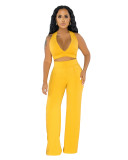 Summer Party Solid Color Halter Crop Top and High Waist Pants Set