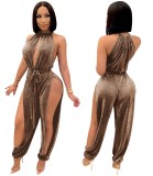 Summer Party Dancer Scoop Neck Metallic Slit Jumpsuit