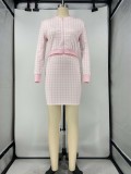 Autumn Casual Plaid Print Zipped Crop Top and Mini Skirt Set