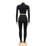 Autumn Party Sexy Bodycon Zipped Crop Top and Pants Set