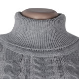 Winter Turtleneck Slit Sleeve Long Pullover Sweater