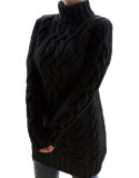 Winter Turtleneck Pullover Long Sweater