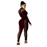 Party Sexy Long Sleeve Mesh Patch Velvet Bodycon Jumpsuit