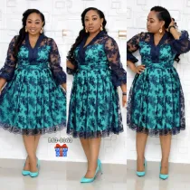 Mother of the Bride Plus Size Lace Patch Skater Dress
