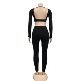 Sexy Two Piece Bodycon Long Sleeve Crop Top and Pants Set