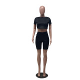 Summer Solid Plain Sexy Fit Crop Top and Shorts Matching Set