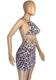Summer Sexy Leopard Print Crop Top and Mini Skirt Matching 2pc Set
