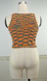 Summer Multi-Colored Knitting Tank Crop Top