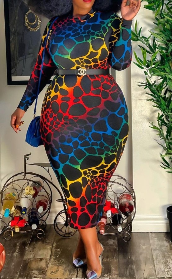 Spring Plus Size Colorful Print Midi Dress with Full Sleeves