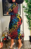 Spring Plus Size Colorful Print Midi Dress with Full Sleeves