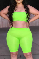 Summer Plus Size Green Sexy Bandeau Top and Biker Shorts 2PC Matching Set