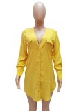 Summer Yellow Long Sleeve Deep-V Blouse Dress