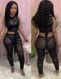 Summer Black Mesh Transparent Sexy Bodycon Crop Top and Pants Set