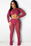 Summer Pink Fishnet Crop Top and Pants 2PC Cover-Ups