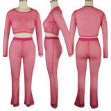 Summer Pink Fishnet Crop Top and Pants 2PC Cover-Ups