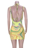 Summer Multicolor Bikini Top and Suspender Skirt Set