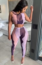 Summer Block Color Sexy Bodycon Crop Top and Matching Pants 2pc Set