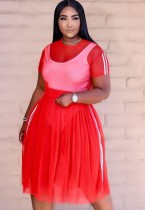 Summer Red 3 Piece Mesh Crop Top and Long Skirt Set with Bodysuit