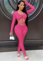 Summer Rose Sexy Long Sleeve Crop Top and Pants Set