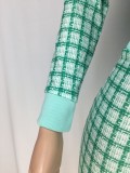 Spring Casual Long Sleeve Plaid Zipper Crop Top and Mini Skirt Set