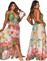 Summer Print Backless High Low Halter Long Maxi Dress