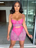 Summer Party Rose See Through Mesh Strap Crop Top and Mini Skirt Set