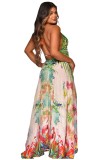 Summer Print Backless High Low Halter Long Maxi Dress