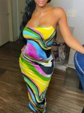 Summer Party Print Multicolor Sexy Tube Dress