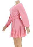 Autumn Casual Pink Long Sleeve Pleated Dress