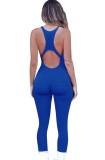 Summer Blue Sexy Sleeveless Basic Jumpsuit