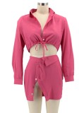 Autumn Party Pink Crop Top and Slit Mini Skirt Set