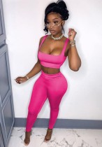 Summer Rose Sexy Tight Crop Top and Pants 2PC Set