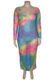 Autumn Plus Size Multicolor Fishnet Long Dress