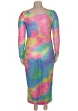 Autumn Plus Size Multicolor Fishnet Long Dress