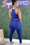 Summer Blue Sexy Ruched Crop Top and Pants Set
