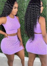 Summer Knit Vest Crop Top and Mini Skirt 2 Piece Set