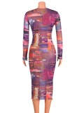 Autumn Printed Purple Long Sleeve Bodycon Midi Dress