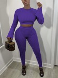 Autumn Casual Purple rib Long Flare sleeve Crop Top and Pant set
