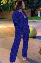 Autumn Blue Zebra-stripe Printed Long Sleeve Blouse and Matchong Pants Set