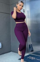 Summer Sexy Purple Short-Sleeve Crop Top and Pant Set