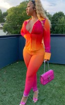 Fall Sexy Gradient Fitted Blouse and Matching Pants Suit