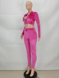 Fall Pink Velvet Crop Top and Pants Tracksuit