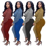 Fall Stripes Blouse and Pants 2 Piece Professional Suit