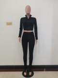 Autumn Black Long Sleeve Zip Crop Top and Slim Pants Set