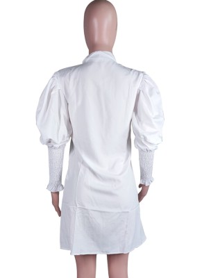 Fall Casual White Lantern Sleeve Mini Shirt Dress