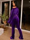 Fall Causal Purple Solid Long Sleeve Crop Top And Pant Set