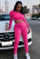 Fall Sexy Pink Wrinkles Long Sleeve Crop Top And Pant 2 Piece Set
