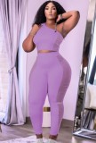 Autumn Purple Mesh Patch Tight One Shoulder Crop Top and High Waist Pants 2PC Set