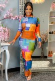 Autumn Print Colorful Turtleneck Sexy Long Bodycon Dress